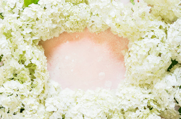 Fresh White Hydrangea Hortensia Flowers, copy space for your text - Фото, зображення