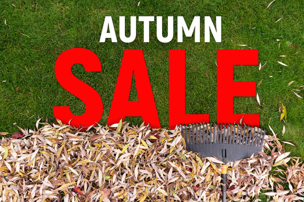 Pile of fall leaves with rake on lawn. Autumn sale - Photo, Image