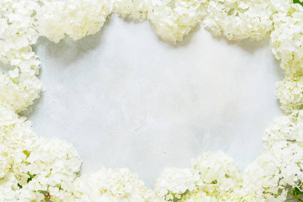 Fresh White Hydrangea Hortensia Flowers, copy space for your text - Valokuva, kuva