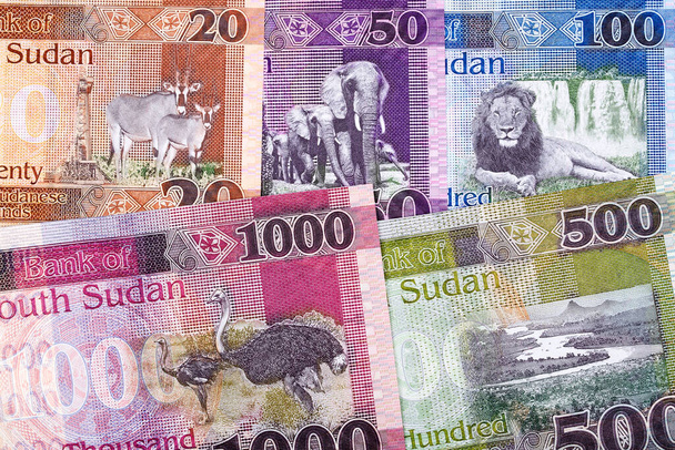 Южносуданские деньги бизнес-фон с новой серией банкнот - Фото, изображение