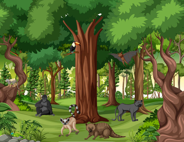 Сцена тропических лесов с различными иллюстрациями диких животных - Вектор,изображение