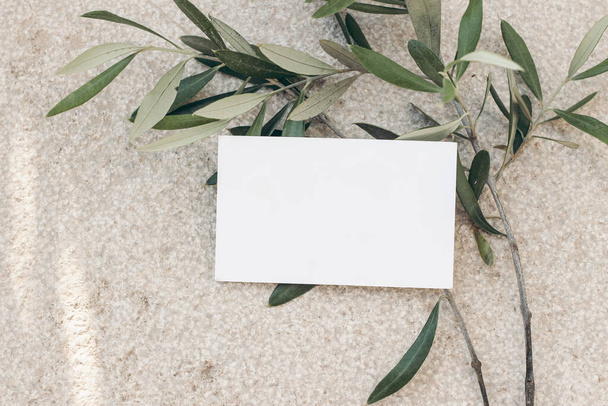 Summer stationery mockup scene,. Blank business card on concrete floor. Textured background with olive tree branch. Mediterranean design. Branding concept. Flat lay, top view, no people. - Foto, afbeelding