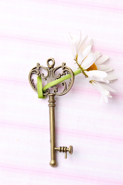 Винтажный ключ
 - Фото, изображение
