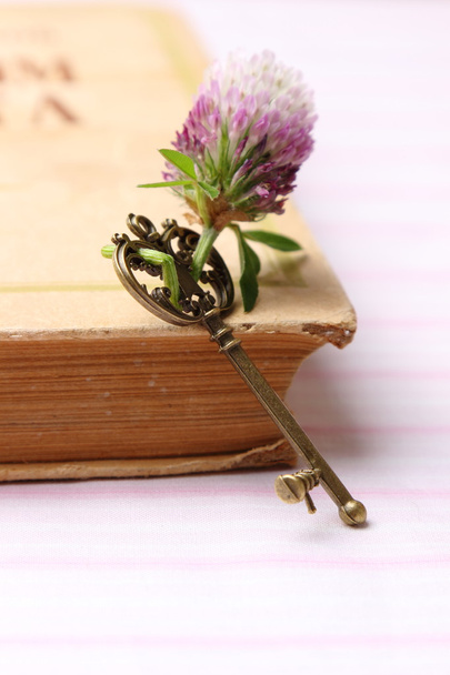 Antiikki avain tuore violetti kukka on kirja
 - Valokuva, kuva