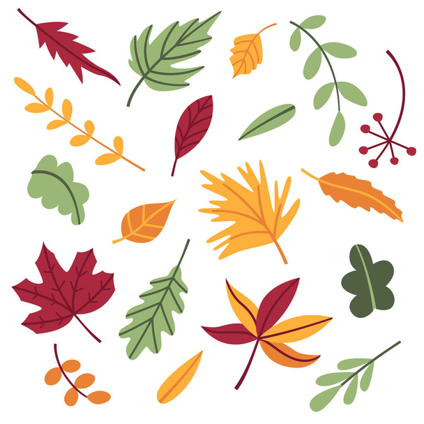 Zestaw jesiennych liści i gałązek w kreskówkowym stylu płaski doodle. Liść klonu, dębu i różnych drzew. Przedmioty, elementy, klipy, elementy do projektowania pocztówek, plakatów, banerów. Na Święto Dziękczynienia - Wektor, obraz