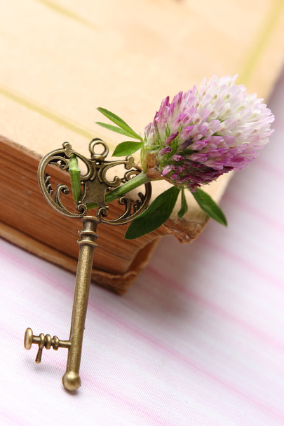 αντίκες κλειδί με φρέσκα λουλούδια μωβ βρίσκεται στο βιβλίο - Φωτογραφία, εικόνα