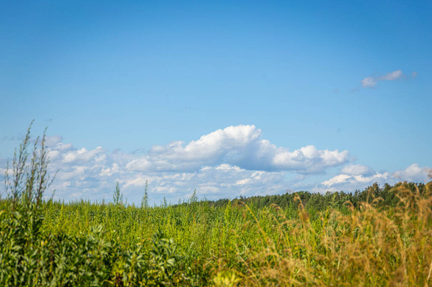 Green grass field and blue sky with beautiful clouds - Fotoğraf, Görsel