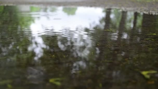 Калюжа крапля дощу води
 - Кадри, відео