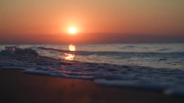 Sluiten golven op zee tijdens zonsondergang - Video