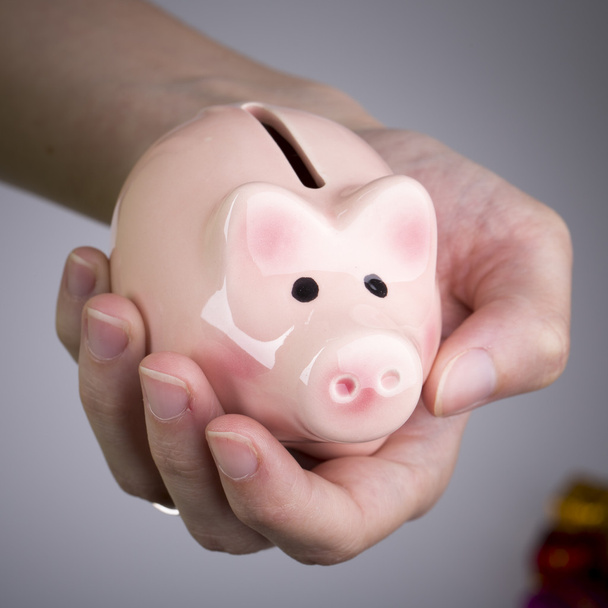 pig money box in woman hand - Photo, Image