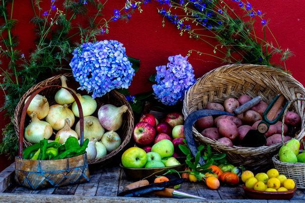 fruits et légumes fraîchement cueillis placés dans des paniers avec des outils pour la récolte - Photo, image