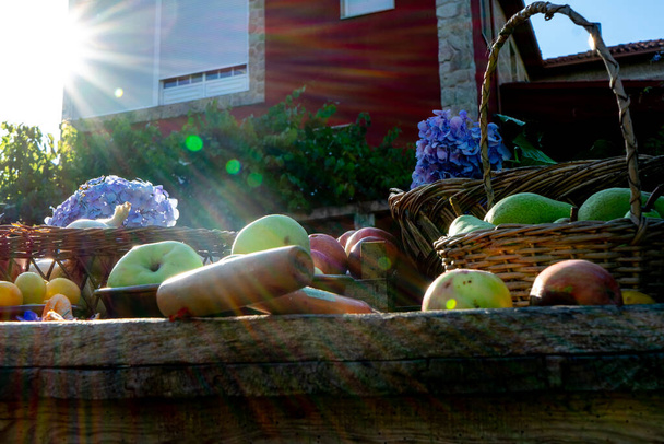 Ernte von frisch gepflücktem Obst und Gemüse bei Sonnenuntergang - Foto, Bild
