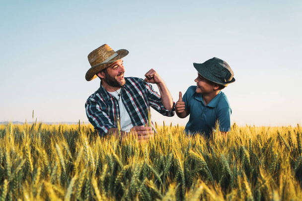 父と子は成長する小麦畑に立っています。播種に成功したため、彼らは満足している. - 写真・画像