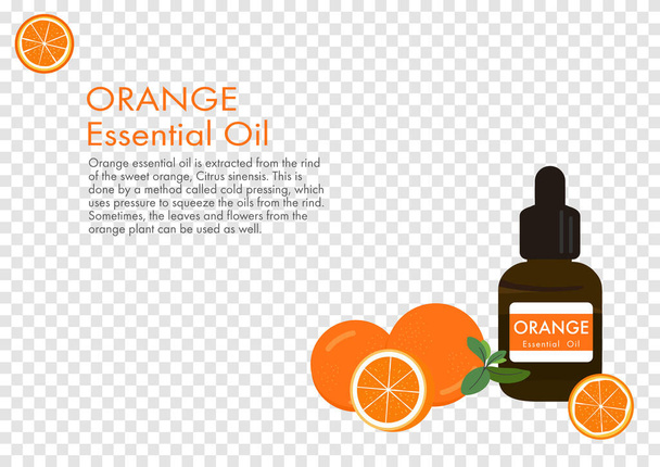 αιθέριο έλαιο πορτοκαλιού, φορέας βοτάνων απομονωμένος σε φόντο διαφάνειας ep01 - Διάνυσμα, εικόνα