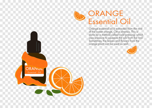 aceite esencial de naranja con cáscara, vector de hierba aislado sobre fondo transparente ep02 - Vector, imagen