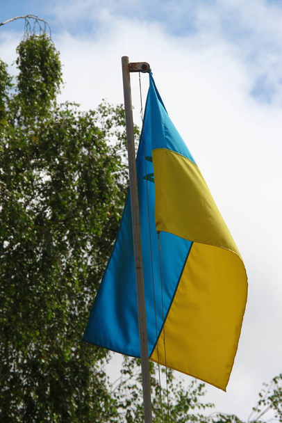 Żółta i niebieska flaga Ukrainy trzepocze na wietrze - Zdjęcie, obraz