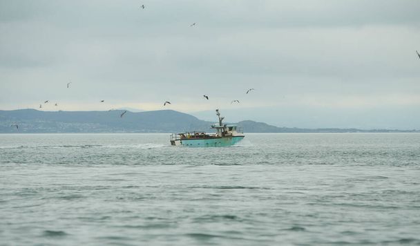 Fishing boat surrounded by black-headed gulls in coming back to the port at the sunset - Foto, Bild