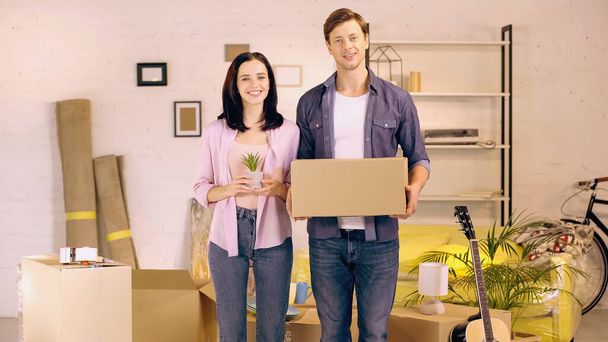 Cheerful couple with box and plant in new home - 写真・画像
