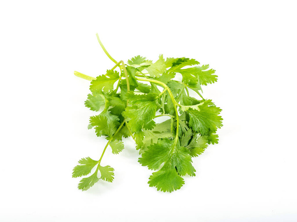 Prezzemolo di vitamina vegan verde fresco isolato su sfondo bianco - Foto, immagini
