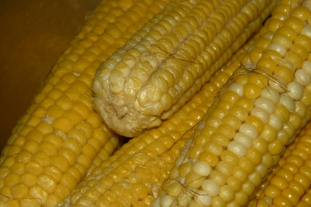 Pannocchie gialle di delizioso mais bollito in cucina - Foto, immagini