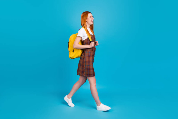 Full length profile side photo of young girl happy positive smile go walk step university education isolated over blue color background - 写真・画像