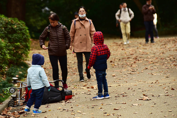 Tokyo, Japan November 27 2019 Unidentified many people are walking at shinjuku Gyoen national garden and watch the autumn tree in the garden, autumn forest on a sunshine day. - Photo, Image