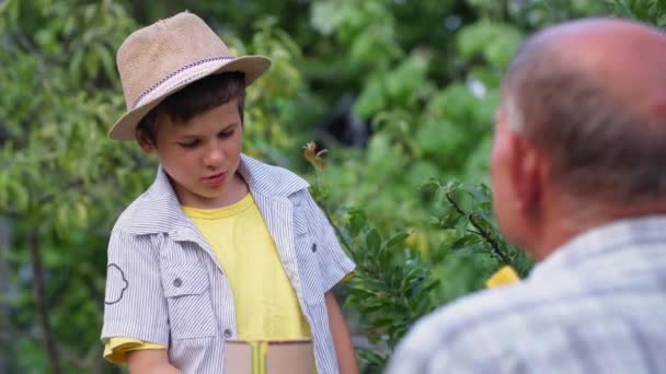 infanzia, bambino maschio carino aiutare il nonno apicoltore dipinge alveari con vernice mentre si rilassa in campagna - Filmati, video