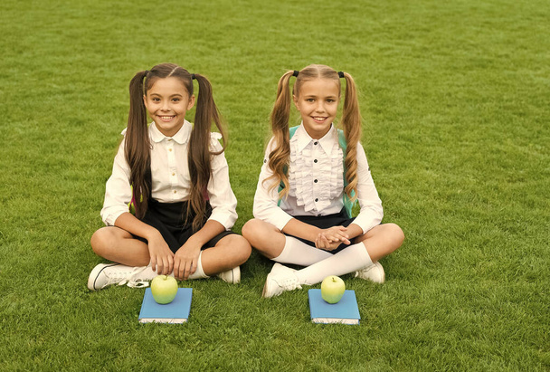 Perfect school children sit on grass with books, having good time concept - Photo, Image
