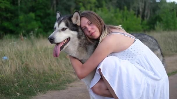  mulher animal de estimação alaskan cão malamute no verão estrada campo - Filmagem, Vídeo