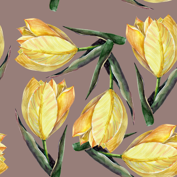 żółte tulipany - Zdjęcie, obraz