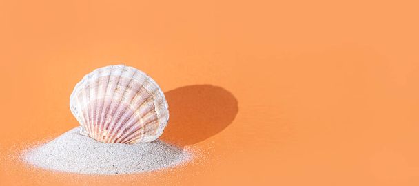 明るいオレンジ色の背景に影が付いている砂のヒップの単一の貝殻、コピースペース、バナー - 写真・画像