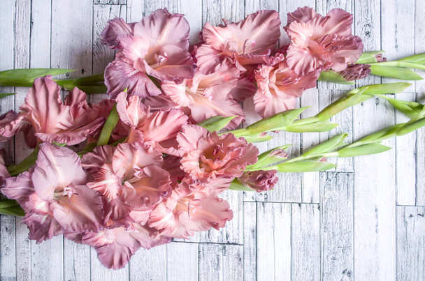 Gladiolus powder color ash pink on a gray textured wooden background. Natural photo. - Photo, Image
