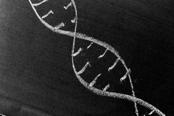 Белый цвет мелом руки рисования в виде гена на фоне доски - Фото, изображение
