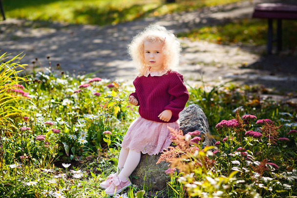A little girl with light curly hair on a flower bed with blooming pink and white flowers in sunny weather. A child in a burgundy sweater in the park. - Photo, Image