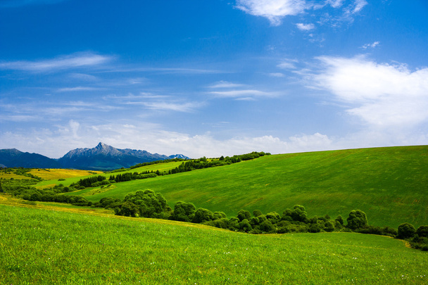 Summer landscape with high mountains - Photo, Image