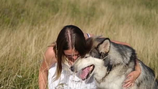  vrouw face to face alaskan malamute hond in de zomer veld - Video