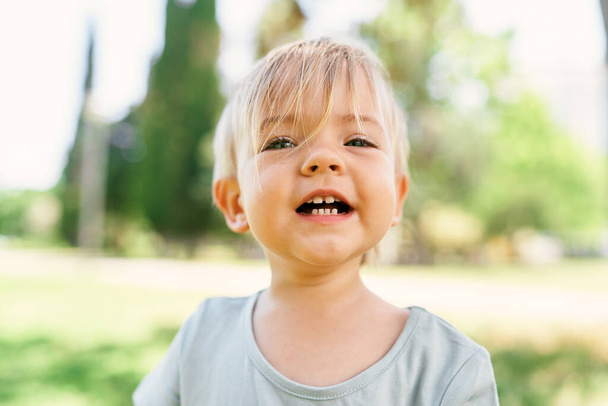 Little smiling girl on a green lawn. Portrait - Fotó, kép