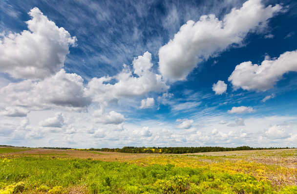 Field with fluffy clouds - 写真・画像