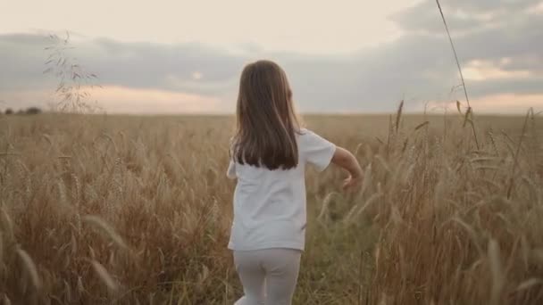 En cámara lenta, la cámara sigue a una niña de 4-5 años corriendo en un campo de espiguillas doradas de grano al atardecer feliz y libre. Feliz infancia. el cabello se desarrolla a la luz del sol - Metraje, vídeo