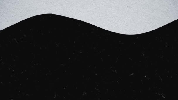 Yin Yang musta ja valkoinen kytketty virtaava aaltoja pöly hiukkasia, saumaton silmukka. Animaatio. Käsitys loputon joki elämän, yksivärinen Yin yang musta ja valkoinen kytketty virtaava aaltoja - Materiaali, video