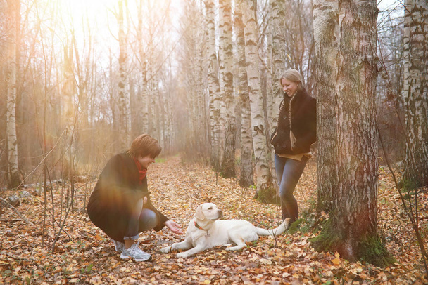Νεαρό κορίτσι σε μια βόλτα με το σκυλί στον κήπο του φθινοπώρου - Φωτογραφία, εικόνα