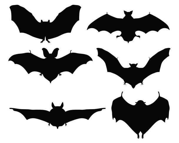 Bats - Wektor, obraz