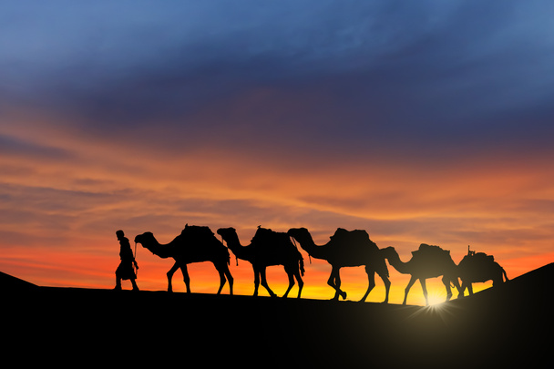 woestijn caravan - Foto, afbeelding