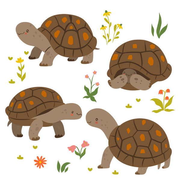 Ensemble de tortues mignonnes isolées sur un fond blanc. Image vectorielle. - Vecteur, image
