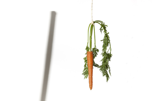 Double motivation with carrot and stick - Photo, Image