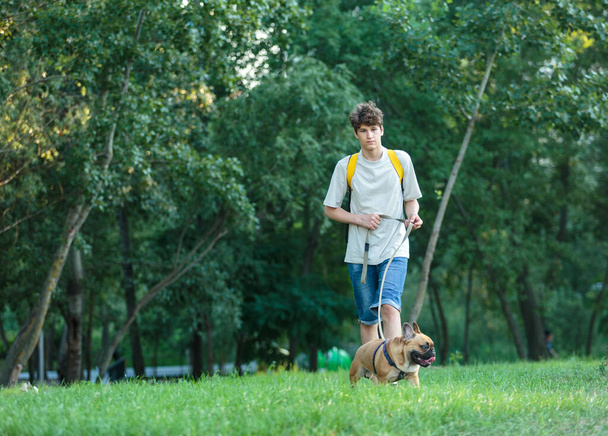 Nastolatek spacerujący z dużym, czerwonym buldogiem w parku. Martwa natura, przyjaźń z psem - Zdjęcie, obraz