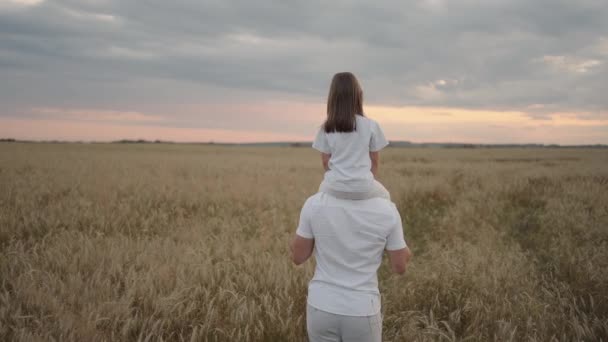 view from the back: Daddy carries on his shoulders his beloved little healthy daughter in sun. In slow motion, the daughter walks with her father on the field and free and happy waves her hands up.  - Footage, Video