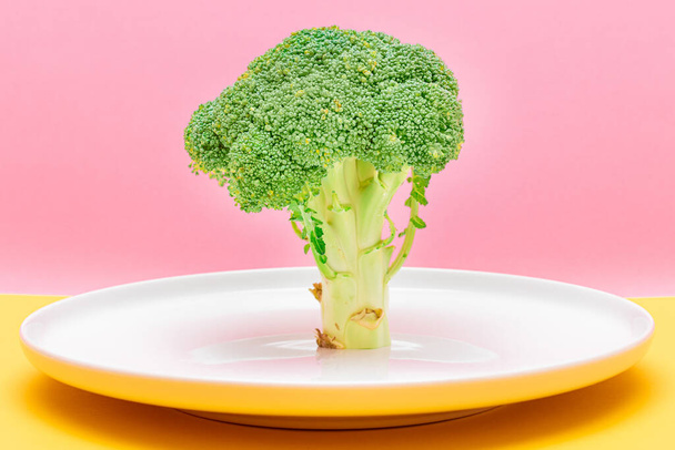 Fresh and Raw Broccoli on White Dish. Uncooked Green Cabbage - Foto, Imagem