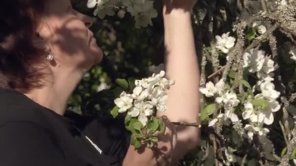 Zbliżenie na białą kobietę cieszącą się zapachem kwiatów jabłoni. - Materiał filmowy, wideo