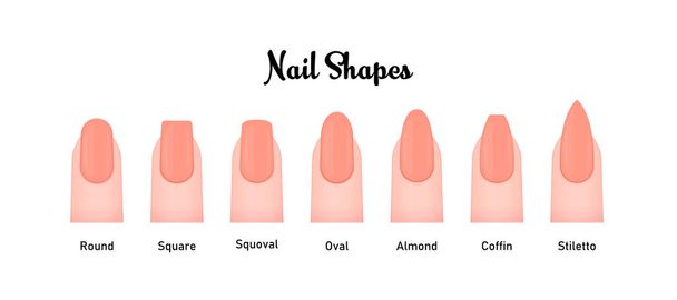 Various nail shapes vector illustration set - Vector, Image